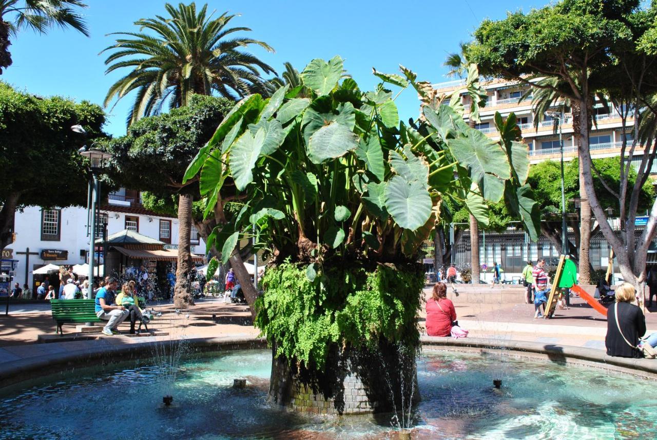 Durazno Tropical Apartment Puerto De La Cruz Экстерьер фото